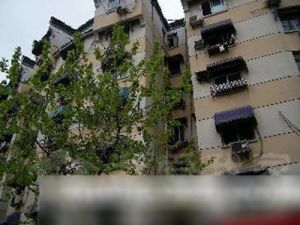 此房满五年,楼层好,交通便利,采光良好