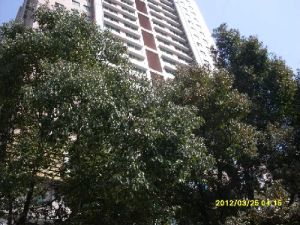 标志商务楼4室2厅东北
