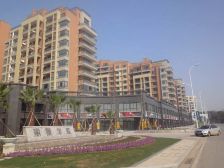 丽景华庭 3室1厅 南