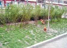 巡船胡同2室0厅西东