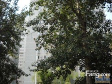【金顶街三区】| 北京市石景山区金顶街三区9号楼17层1702号房屋