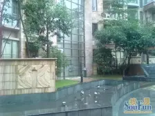 丰泰天悦墅单边位大花园,看湖,花园面积大