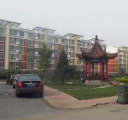 阳洲鑫园3室2厅南北