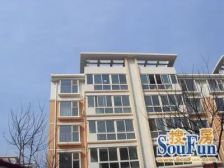 阳洲鑫园一层花园房南北通透两居室
