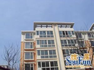 阳洲鑫园一层花园房南北通透两居室
