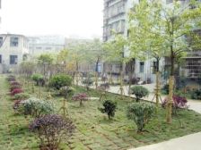 吉星小区2室1厅南北