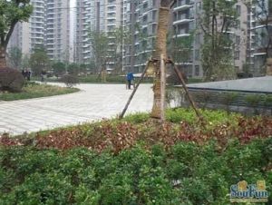 新上大两房精装采光好,拎包入住