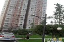 秀蝶双座实景图