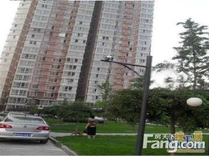 秀蝶双座3室2厅东南北