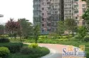 秀蝶双座实景图