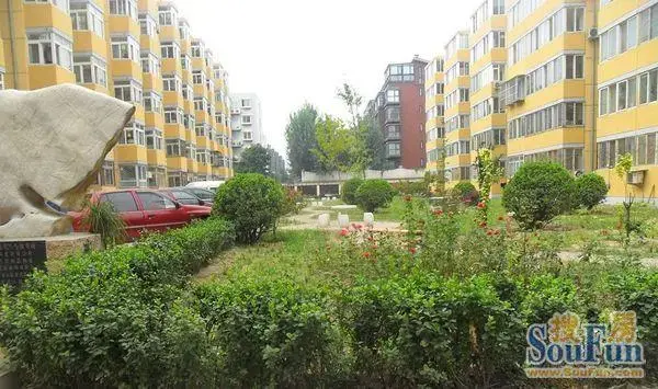 双桥中路10号院实景图