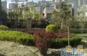 双桥中路10号院实景图