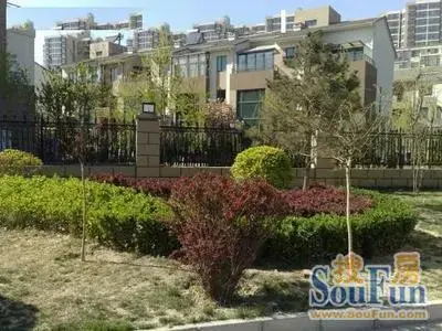 双桥中路10号院实景图