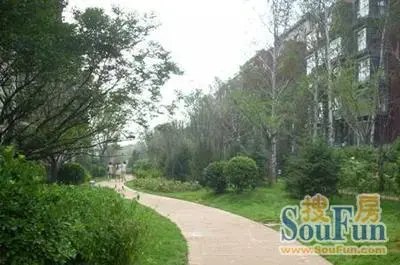 双桥中路10号院实景图