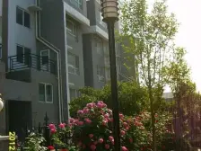 半岛蓝湾 3室1厅 南 北