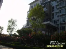 半岛蓝湾,电梯好楼层,精装,南北通透。