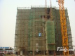 8#楼工程进度（2012-6）