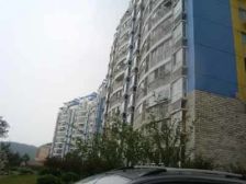 中间楼层,双阳台采光佳,有钥匙随时看房,价格可以谈