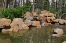 洋房一楼带小院 出行方便 生活便利 采光良好