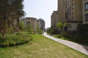 南北通透户型小高层价格可议小区环境好