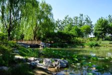 斥资千万,用时五年装修,前排南观湖,东边户5个车位