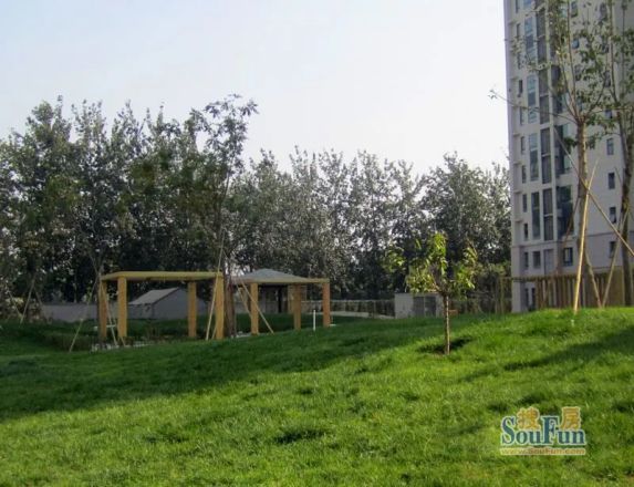 SOCO公社公寓实景图