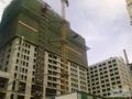 工体·永利国际·1室·1厅