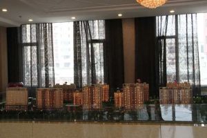 新城区 北环盛世 精装修 飞机户型 双阳卧