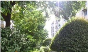 树木岭商圈,居家大三房采光充足