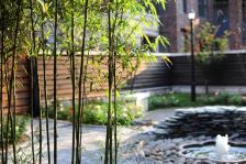 朝阳其它·海棠公社·3室·2厅