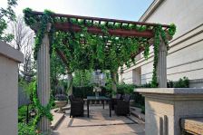 小区绿植高达百分之40,可以称作天然氧吧