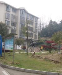 南茶坊 大昭 楼层好 采光好 精装修 单价低 总价低