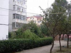 新上金坛一路加了电梯全明套二厅采光好视野好