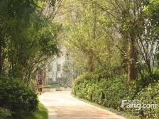 满五唯一。看房有钥匙,诚心出售