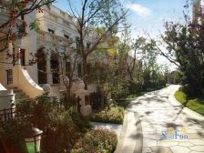 融科千章墅6室3厅南北