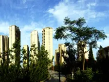 天马相城二期 3室2厅 南 北