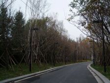 小区环境好 周卫配套成熟 户型设计合理 采光充足