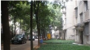 黄土岭地铁口 带装修周正两房一卫