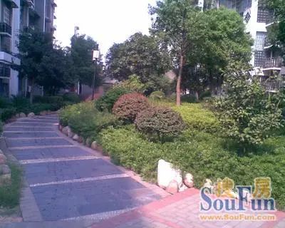 石油公司宿舍实景图
