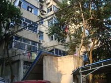 府学新村2室1厅南