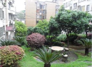 【城南花苑】| 长沙市天心区城南中路198号望心阁商住楼603号房