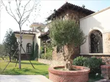 双龙山畔,伴山洋墅,联排边户大院