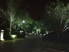 合生滨江帝景一期2室1厅南