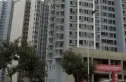 龙城花园别墅实景图