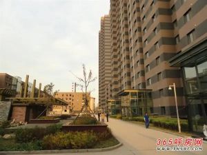 青城公寓 3室1厅 南 北