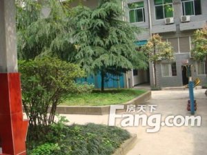 青山 海东路 怡园小区 低楼层 随时看房