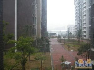 房子为自住精装,拎包入住,国土局单位房,