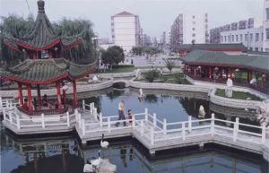 城西小区 中间楼层适合养老居住 交通方便