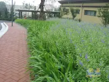 精装东打头,拎包入住,带30平小棚,依山傍海,物业好