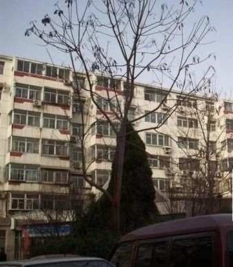 莲池社区实景图
